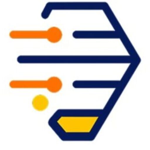 cropped-dolistore_logo-300×300